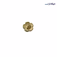 جاعودی گل برنجی