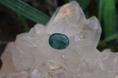 زمرد زامبیا