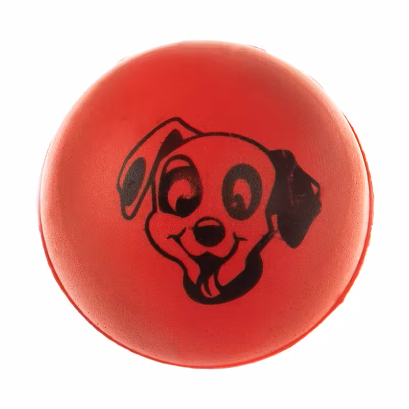 توپ اسباب بازی سگ و گربه مدل Pet ball | چاوه