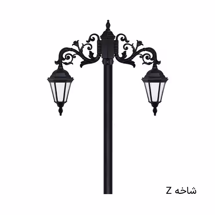 رومی دوشاخه