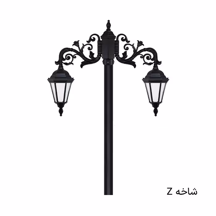 رومی دوشاخه