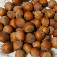 فندوق اشکور گیلان( ریز) 