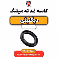 کاسه نمد ته میلنگ دیگنیتی