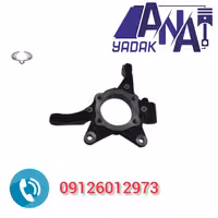 سگ دست جلو راست سانگ یانگ تیوولی اصلی