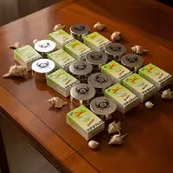 پک 10 عددی کرم گانودرما آگوستا ویژه خریدهای عمده