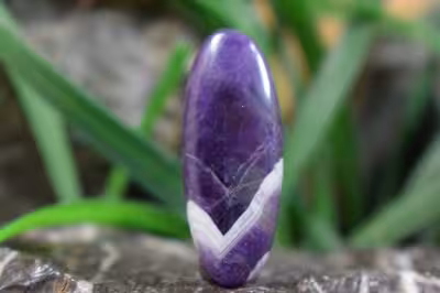 امتیست شورون