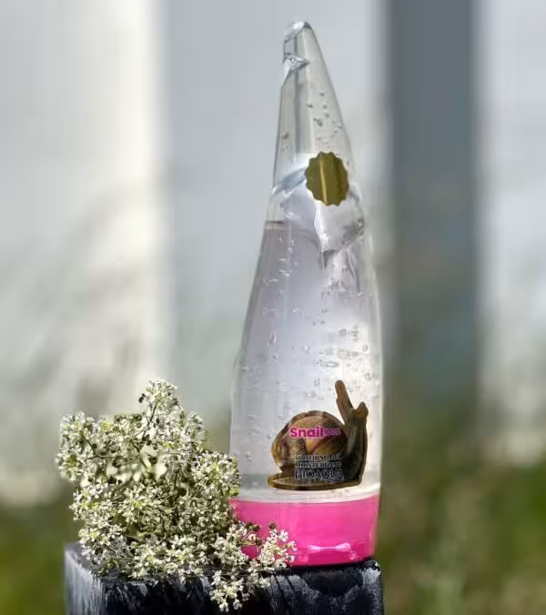 ژل آبرسان شاخکی حلزون اورجینال وارداتی