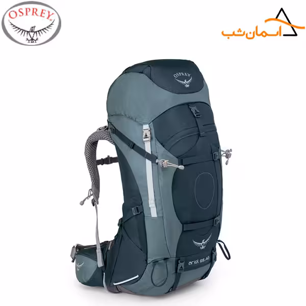 کوله پشتی اسپری اریل 65 AG