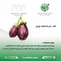 بذر بادمجان چیتی پاکت 500 عددی