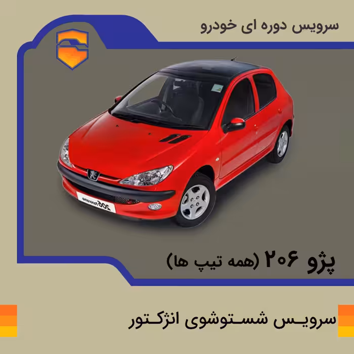 سرویس شست و شوی انژکتور پژو 206