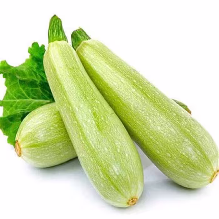 بذر کدو خورشتی هیبرید