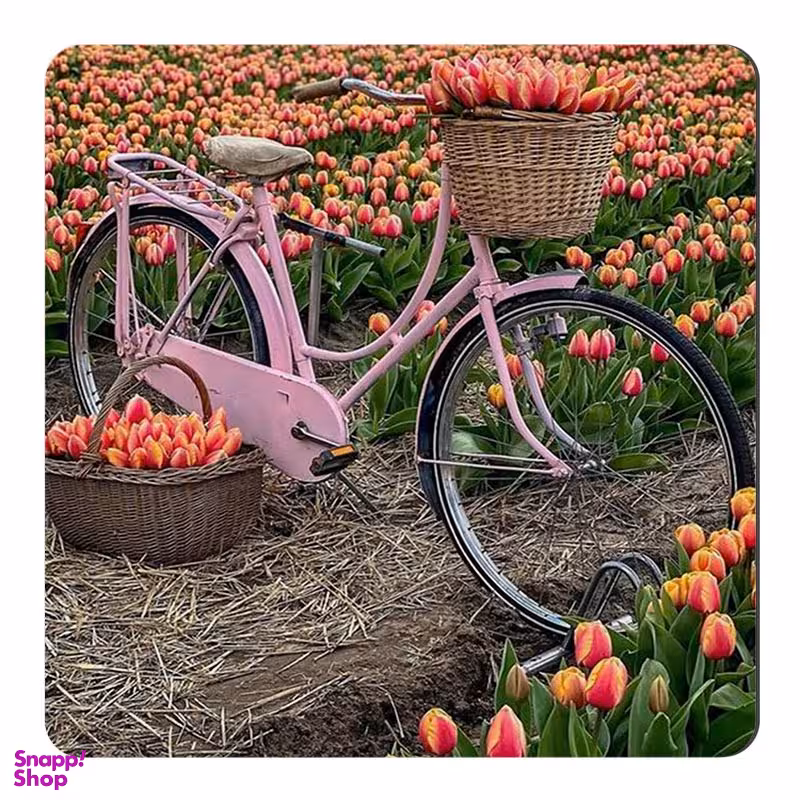مگنت صبا طرح مدل دوچرخه در دشت گل لاله کد  M615