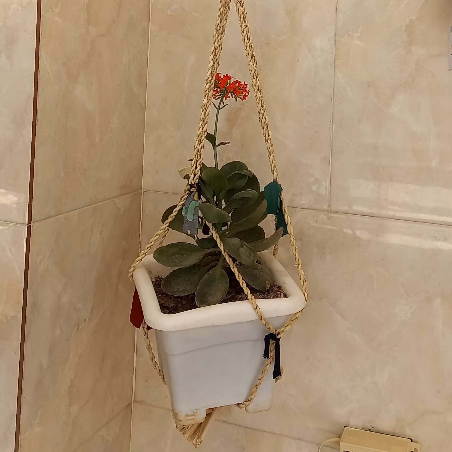 آویز گلدان یک طبقه