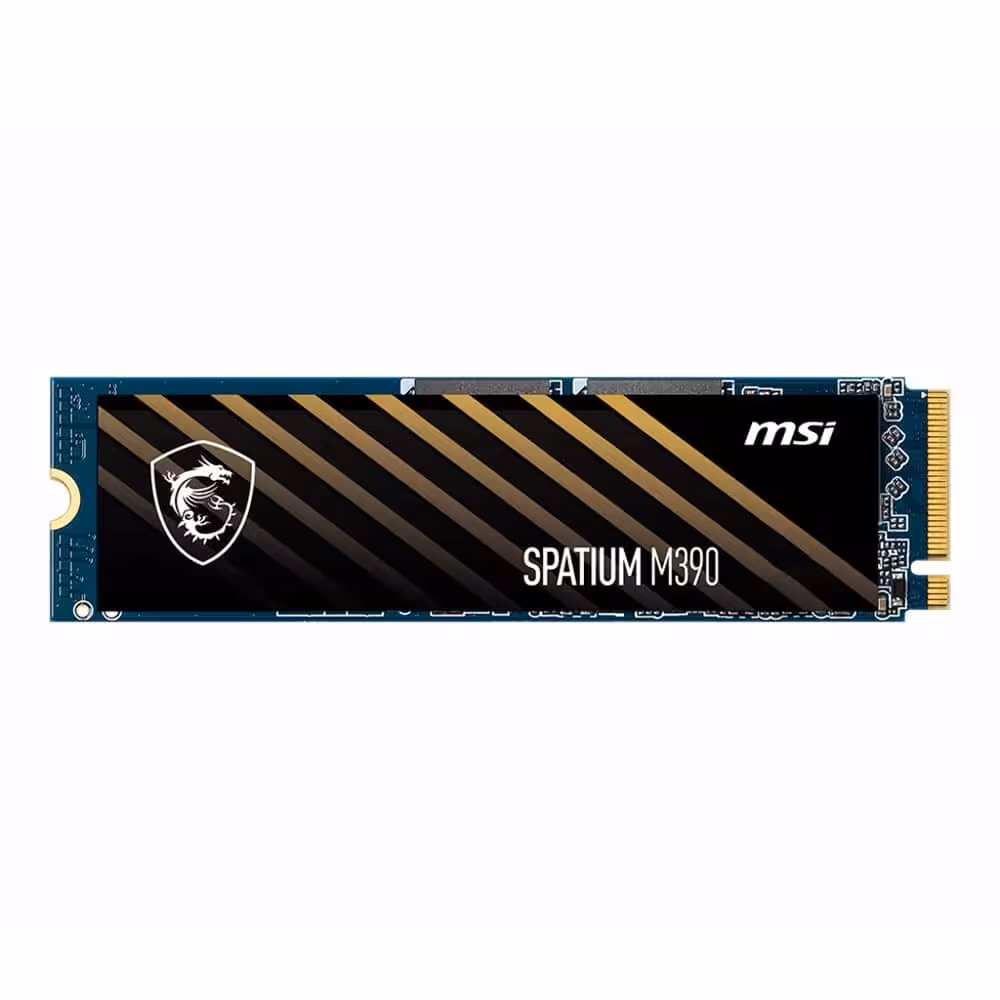 حافظه SSD ام اس آی MSI SPATIUM M390 NVMe M.2 250GB