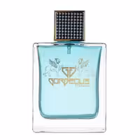 ادو پرفیوم مردانه سدیوس مدل جورجیوس آبی Gorgeous blue حجم 100 میلی لیتر | Seduce Gorgeous blue Eau De Perfume For men 100 ml