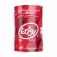 رب گوجه فرنگی روژین 4300 گرمی