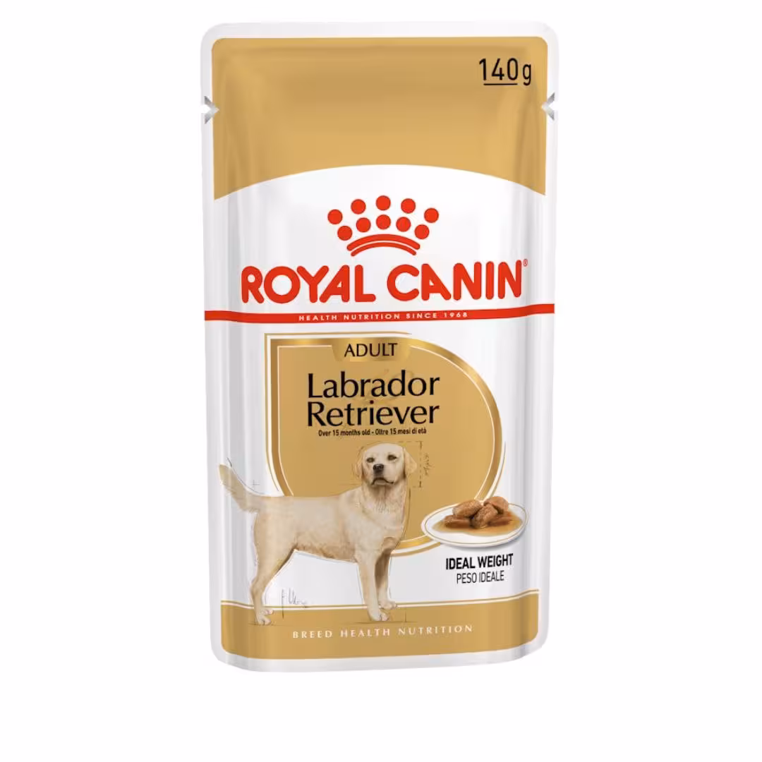 پوچ سگ بالغ نژاد لابرادور رتریور رویال کنین 85 گرم