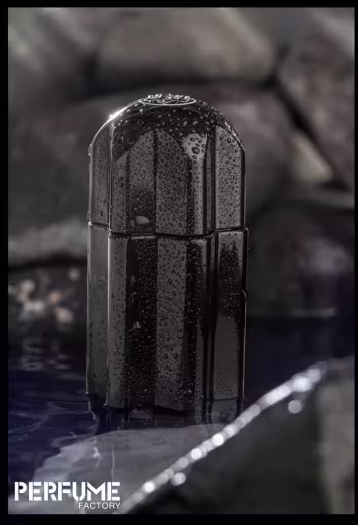 ادکلن مینیاتوری امبلم پرفیوم مردانه perfume emblem 30ml