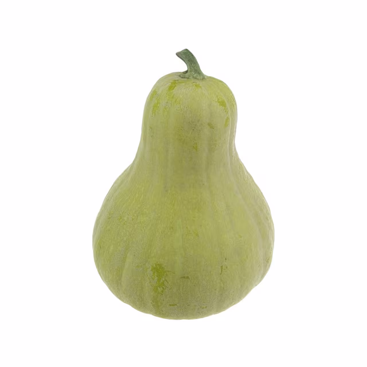 کدو آشی 2000 گرمی