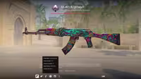 AK-47 | Nightwish [WW] (Well-Worn)