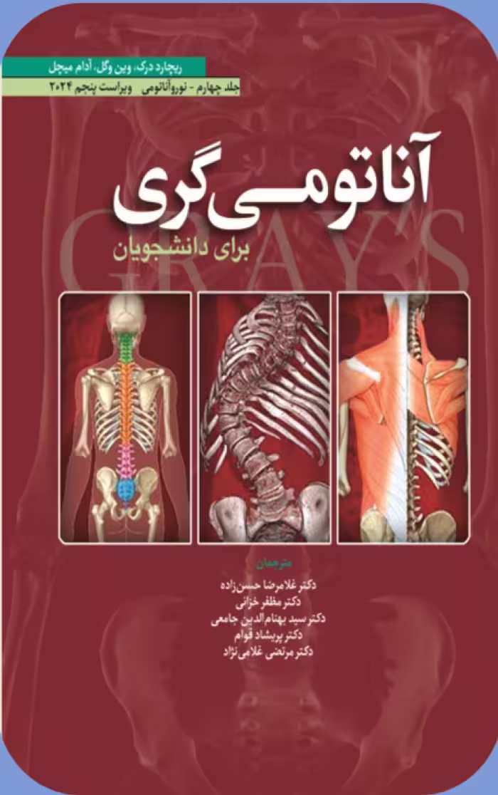 آناتومی گری نورو آناتومی جلد چهارم 2024 درک حسن زاده ابن سینا