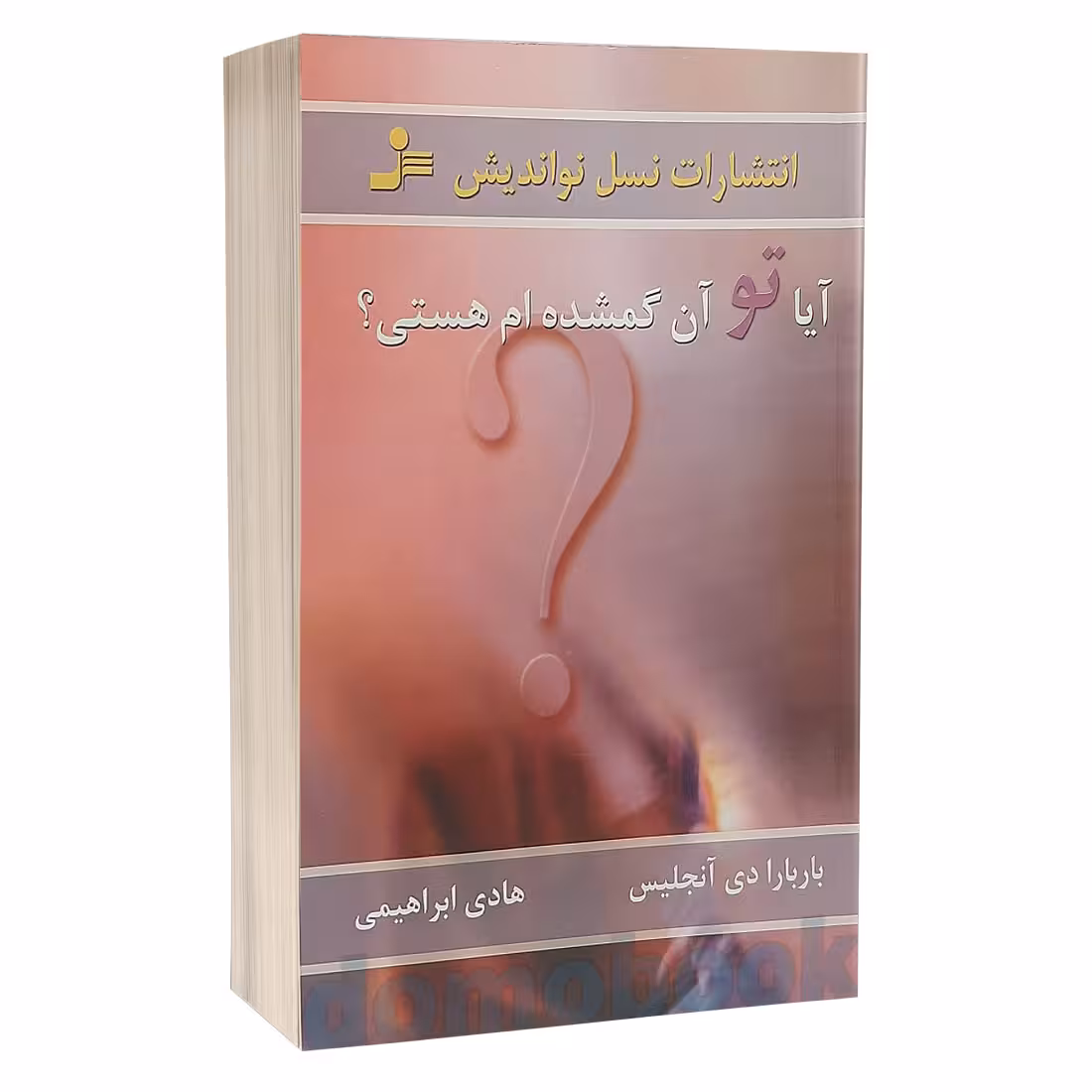 کتاب آیا تو آن گمشده ام هستی اثر باربارا دی آنجلیس