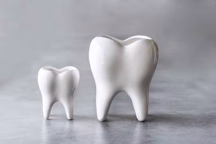 گلدان دندان 2سایزی مجموعه 2عددی بزرگ و کوچک