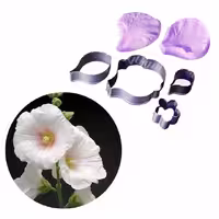 ست کاتر و وینر گل ختمی