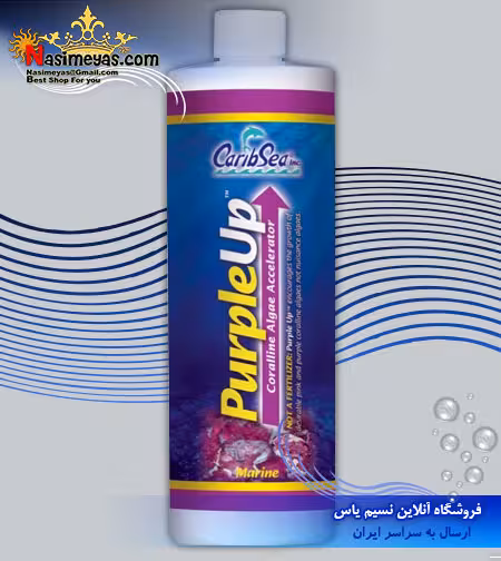 محلول پرپلاپ بنفش کننده صخره کاریب سی