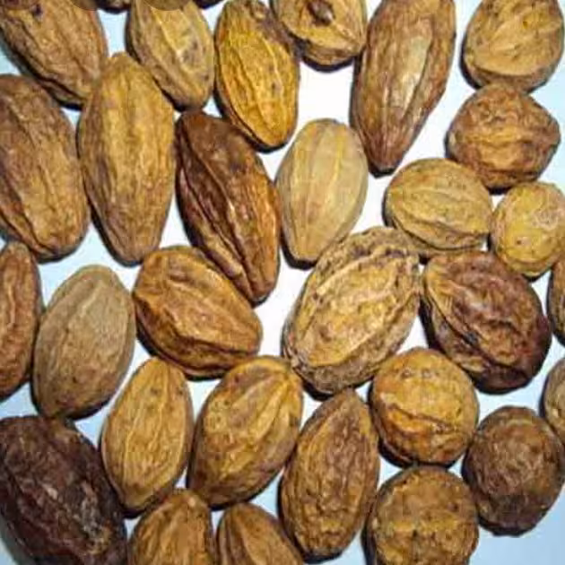 هلیله زرد ممتاز فدک