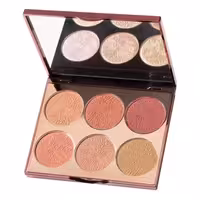 پالت رژگونه فیوچر میکاپ FU4101