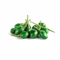 بذر فلفل چری سبز