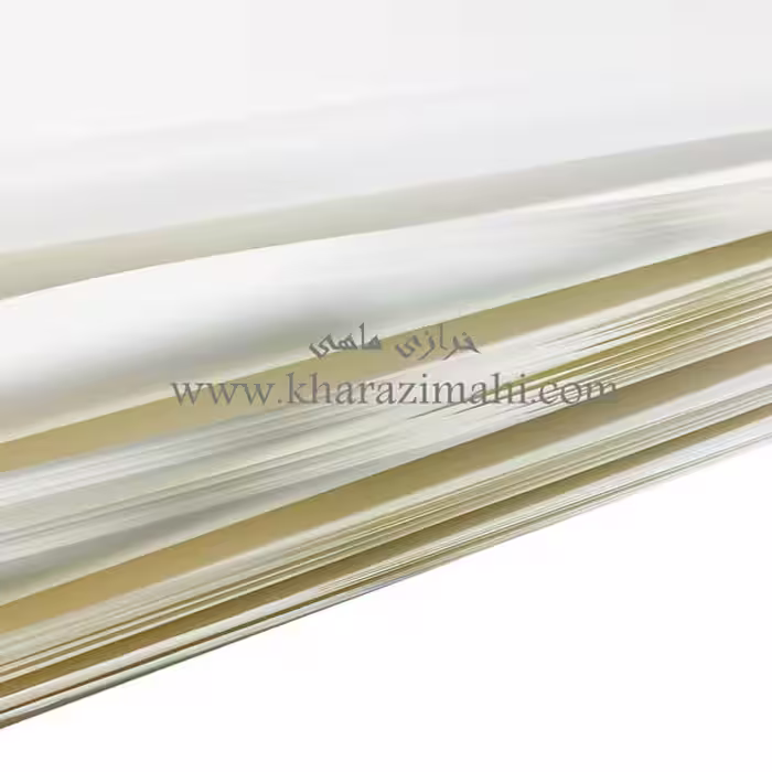 کاغذ الگوی پوستی سفید