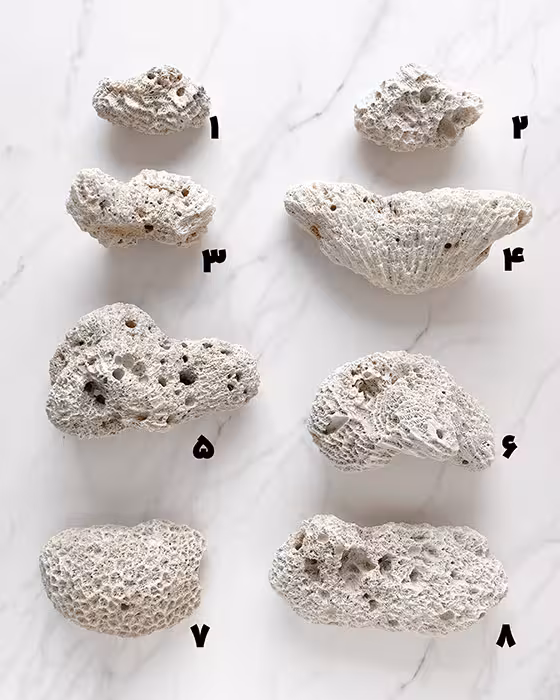 سنگ های مرجان کد 13