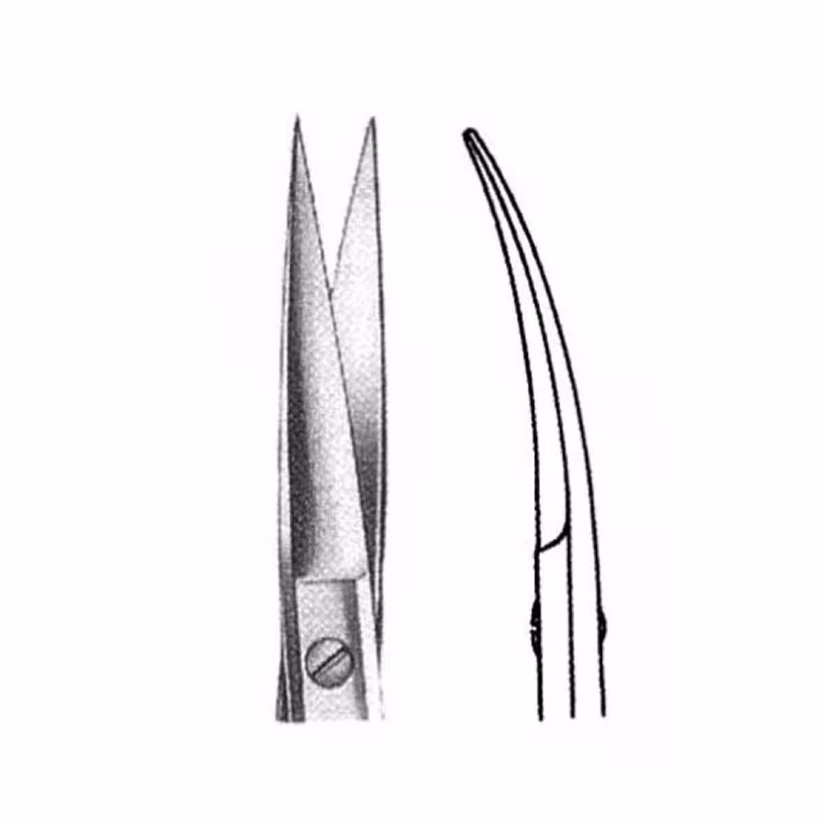 قیچی اریس سر کج 11.5 سانت دنتال دیوایس | Iris Scissors Dental Devices