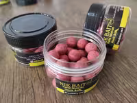 بویله NIKBAIT