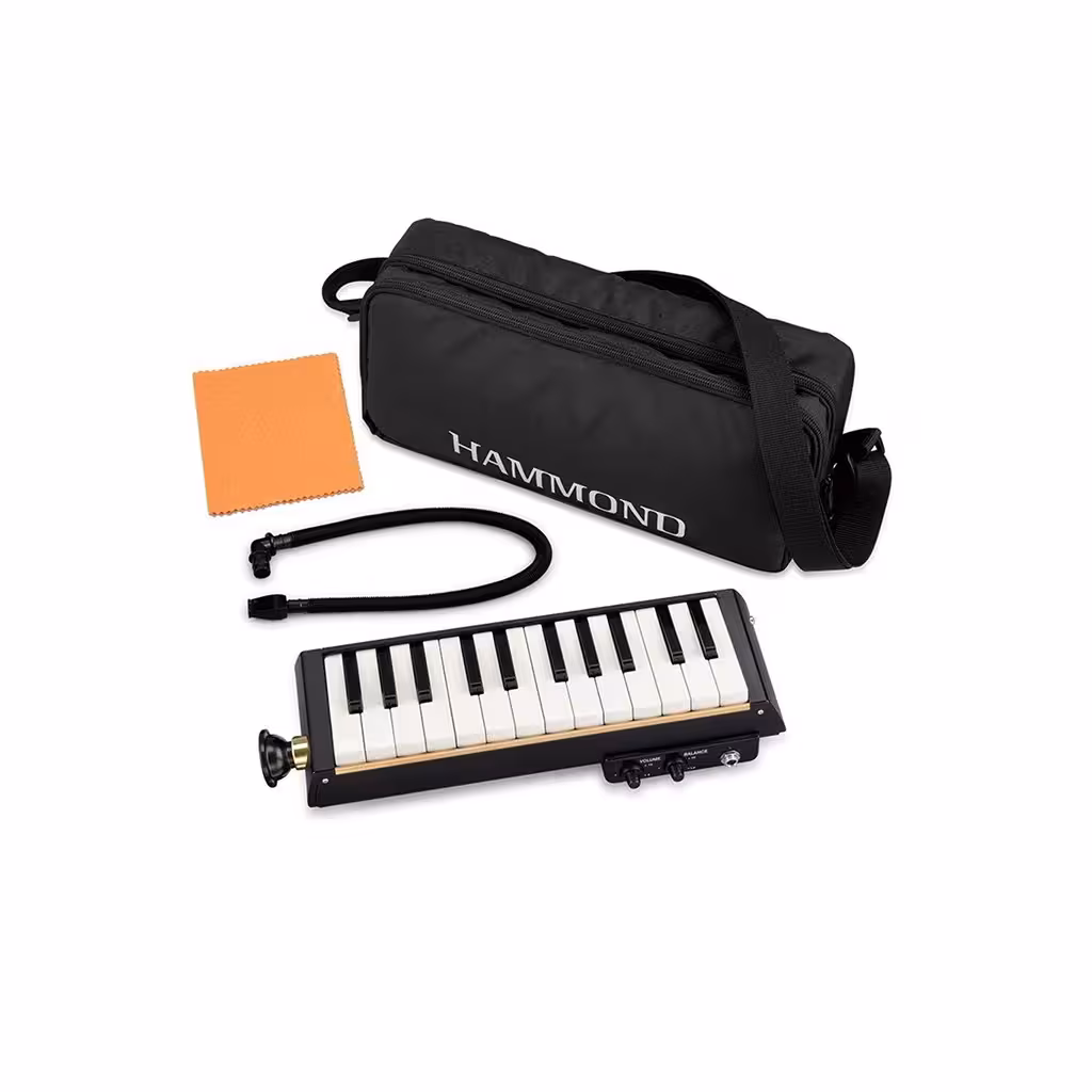 ملوديکا سوزوکی PRO-24B