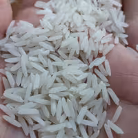 برنج فجر سوزنی درجه یک  و معطر گلستان  ( 20 کیلو یی ) ارسال رایگان