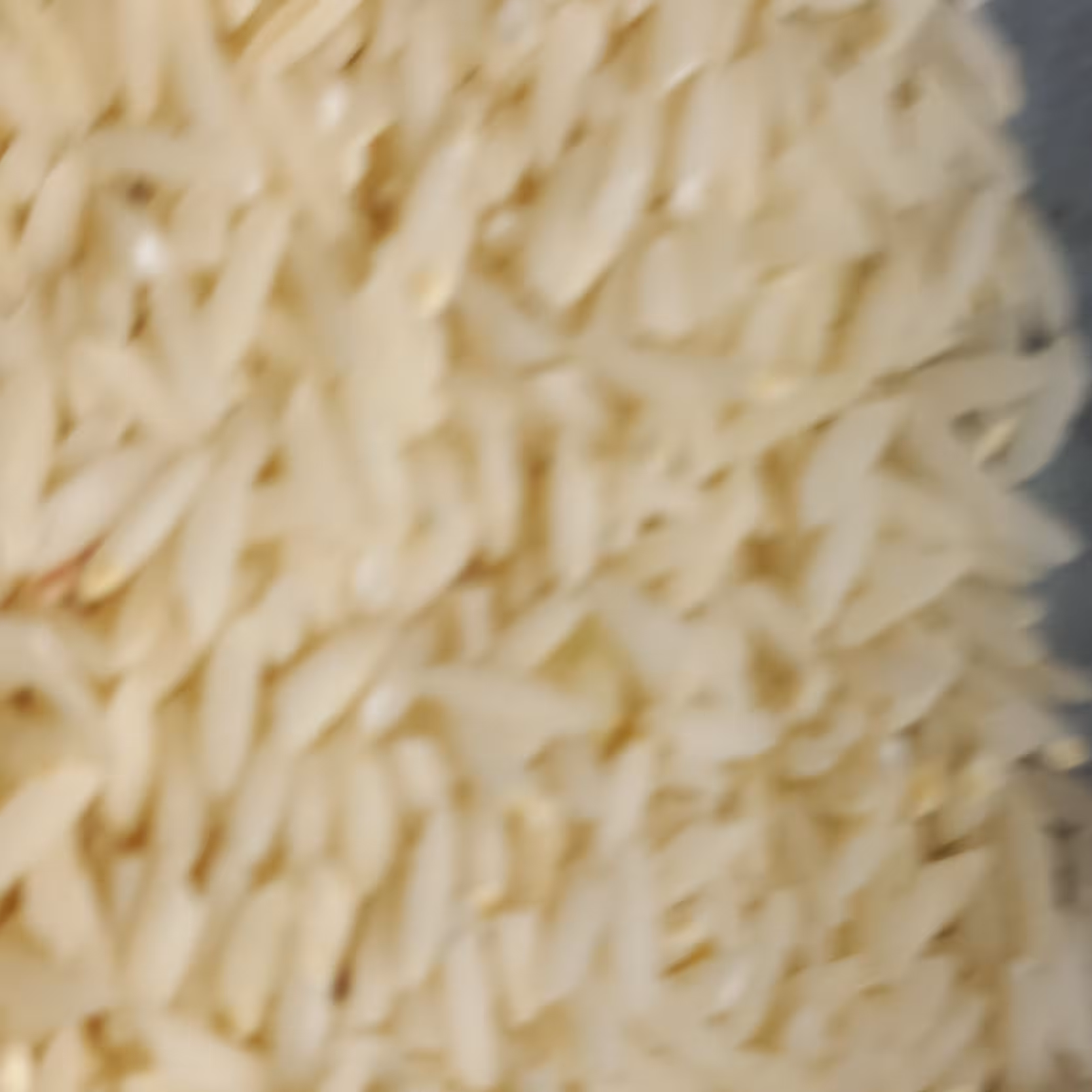 برنج طارم دورود