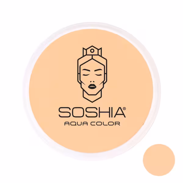 پنکیک سنگی و استخری سوشیا (T303)