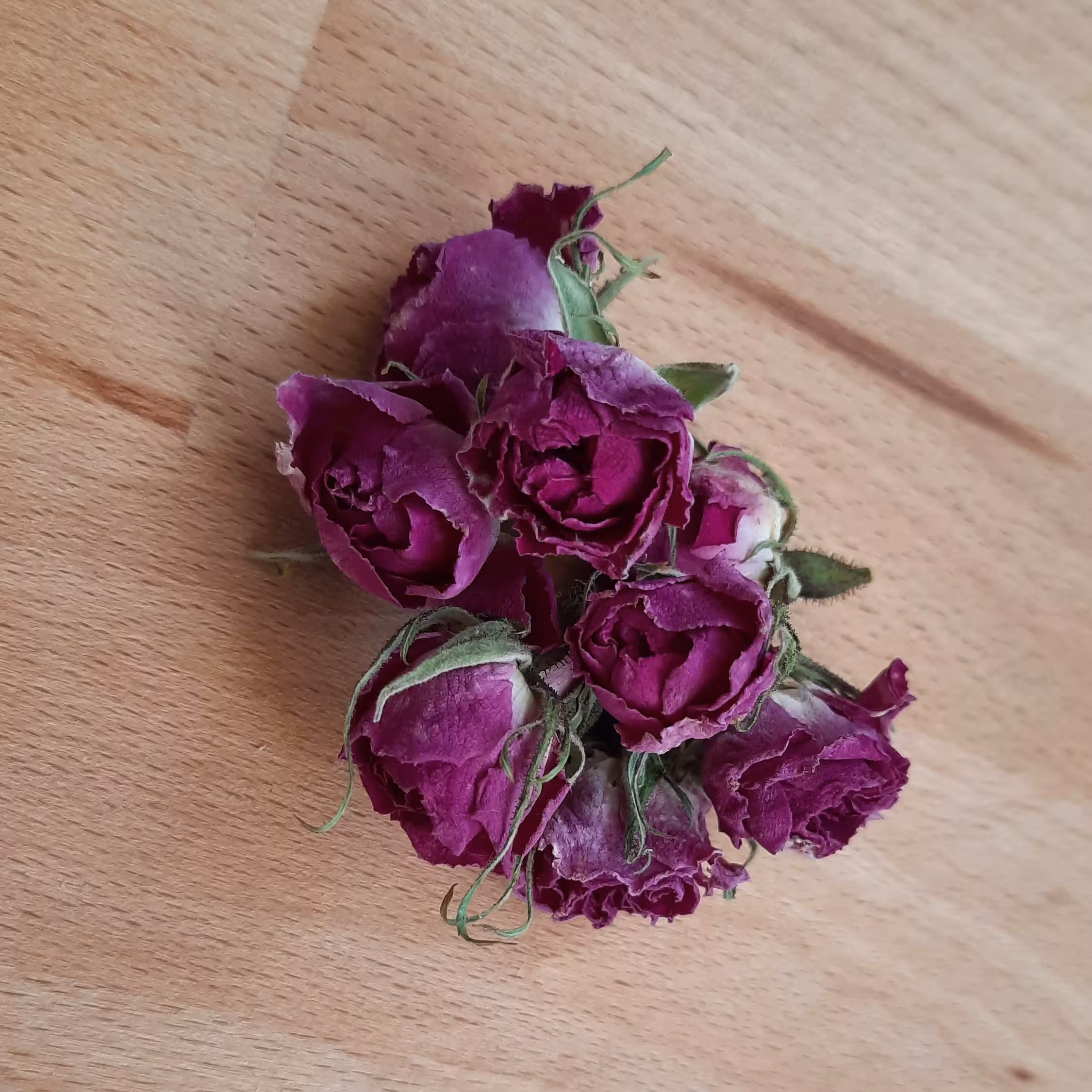 غنچه گل محمدی خشک شده 20 گرمی اعلا