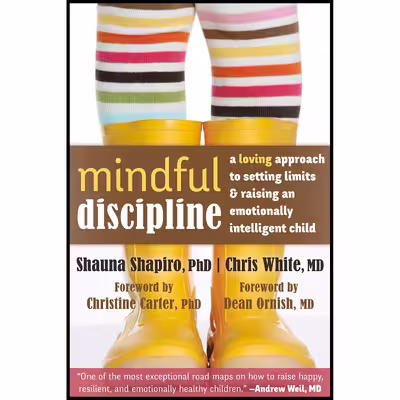 کتاب Mindful Discipline اثر جمعی از نویسندگان انتشارات New Harbinger Publications