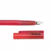 خودنویس پلیکان مدل Active Fountain Pen