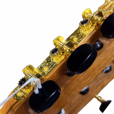 گیتار کلاسیک سانتوس هرناندز مدل لوتیر