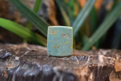 فیروزه نیشابور