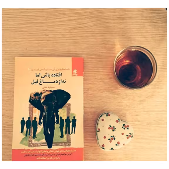 کتاب افتاده باش اما نه از دماغ فیل اثر مسعود لعلی نشر بهار سبز