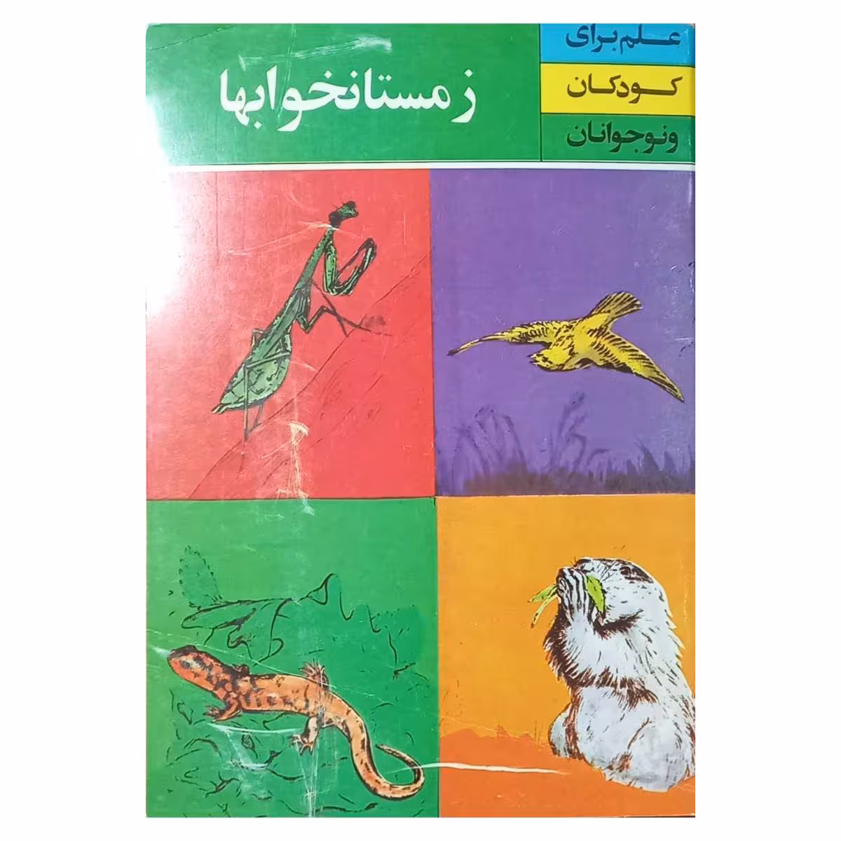 زمستان خوابها