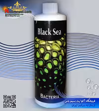 محلول باکتری زنده 250 میل بلک سی