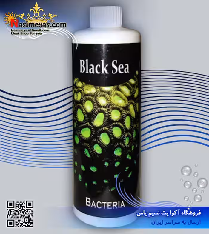 محلول باکتری زنده 250 میل بلک سی