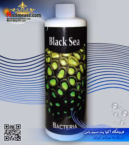 محلول باکتری زنده 250 میل بلک سی